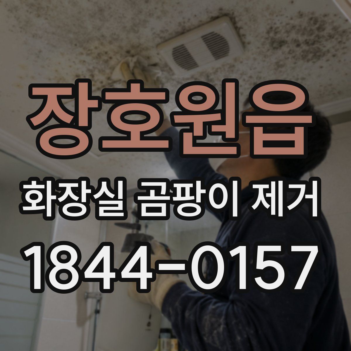 장호원읍 화장실 곰팡이 제거