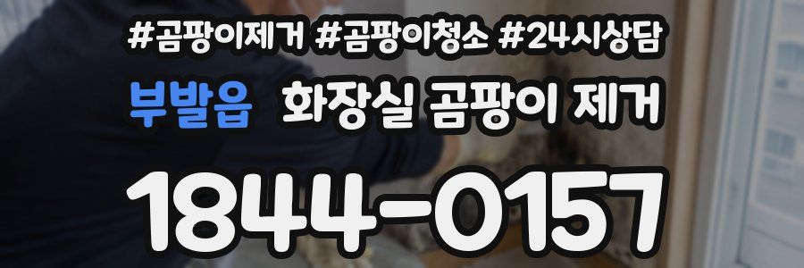 부발읍 화장실 곰팡이 제거