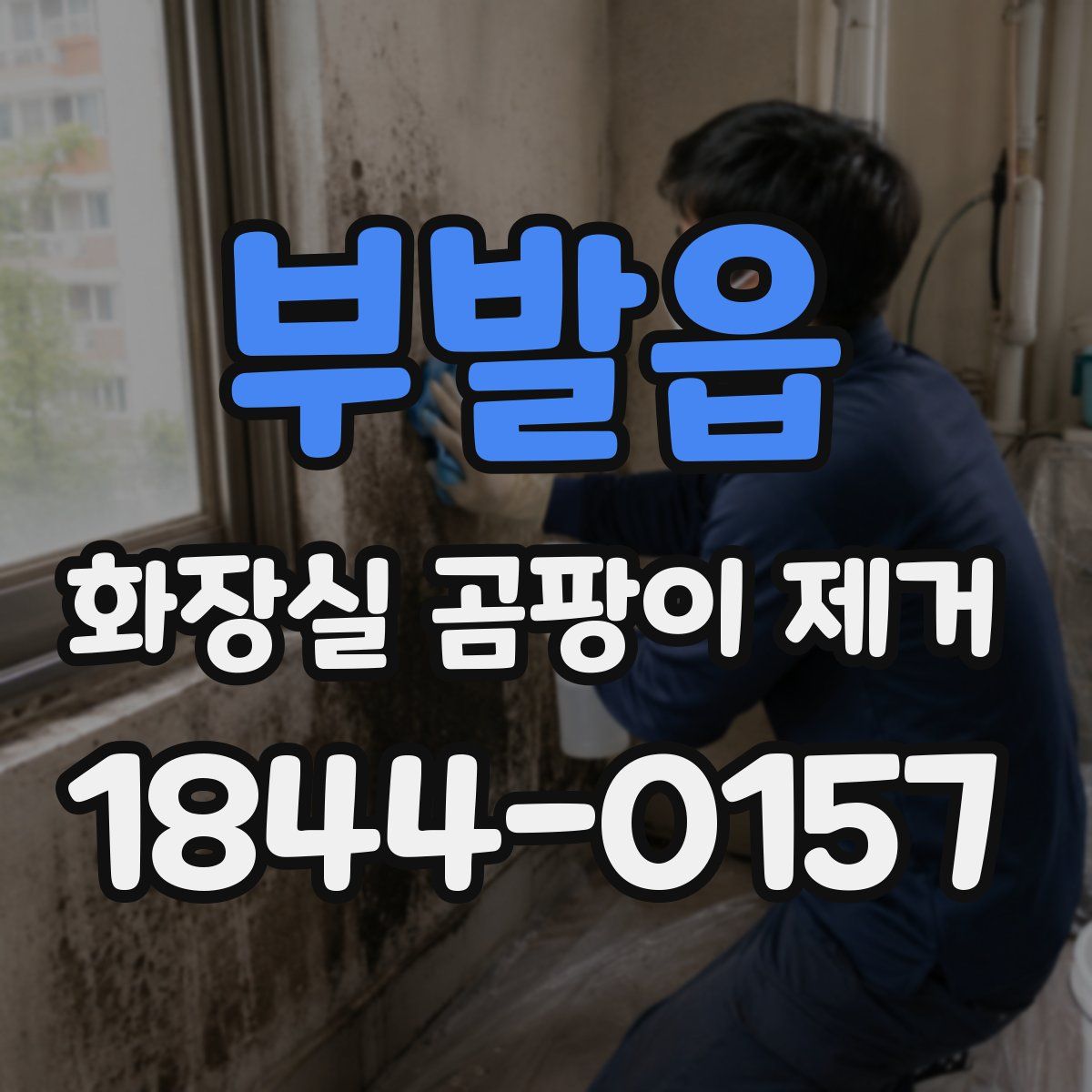 부발읍 화장실 곰팡이 제거