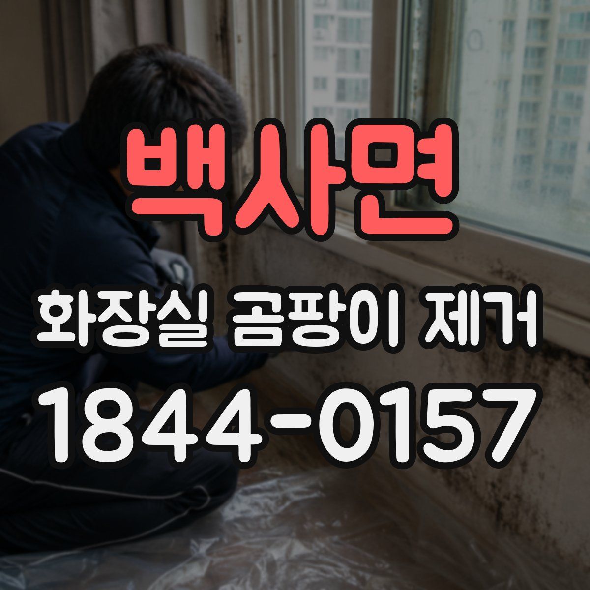 백사면 화장실 곰팡이 제거