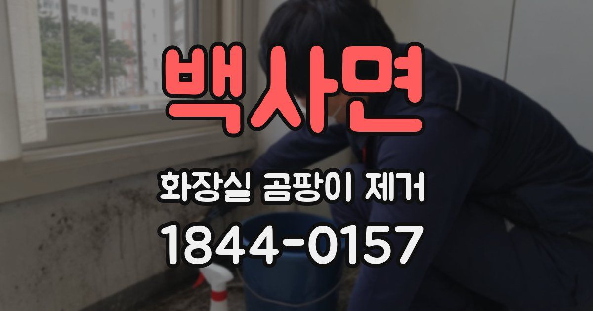 백사면 화장실 곰팡이 제거