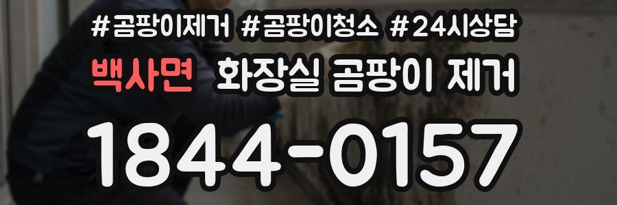 백사면 화장실 곰팡이 제거