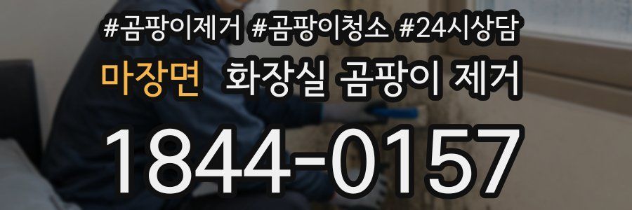 마장면 화장실 곰팡이 제거