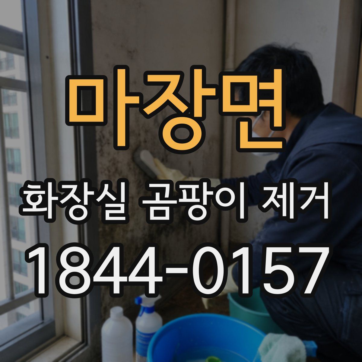 마장면 화장실 곰팡이 제거