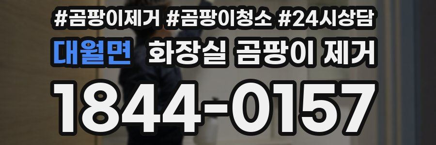 대월면 화장실 곰팡이 제거