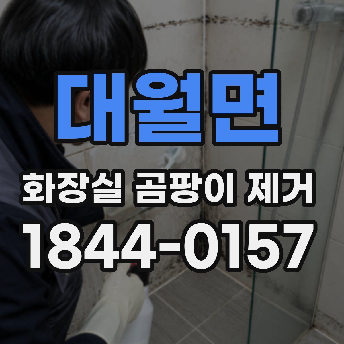 대월면 화장실 곰팡이 제거