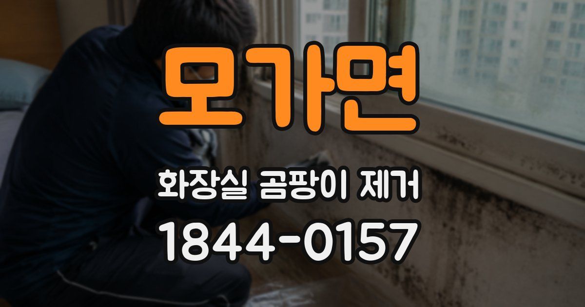 모가면 화장실 곰팡이 제거