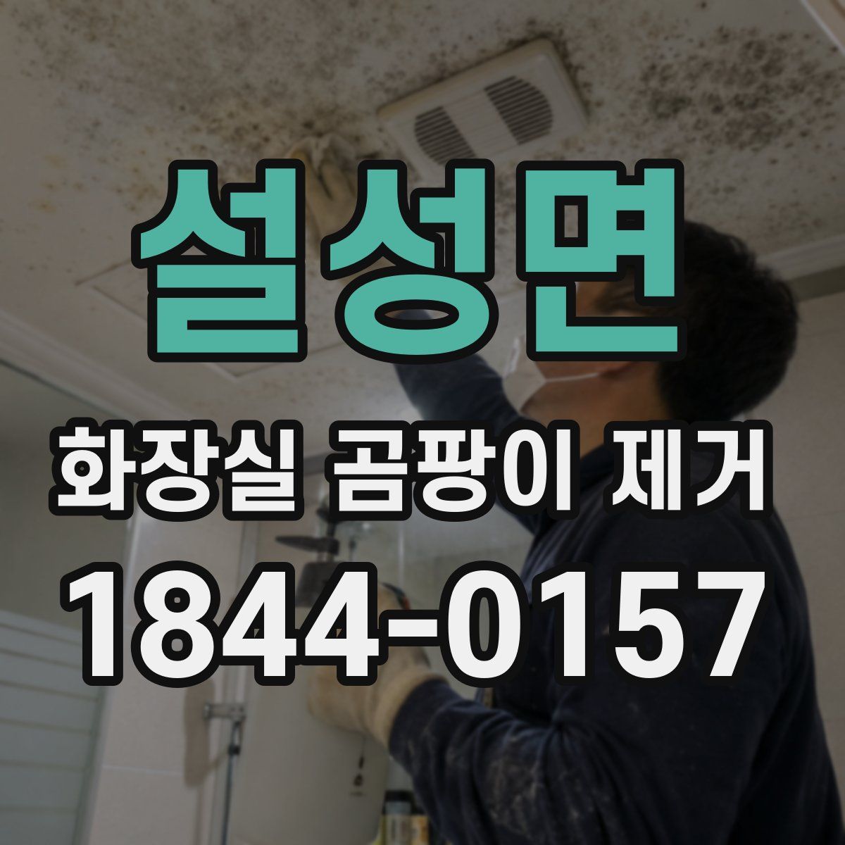 설성면 화장실 곰팡이 제거