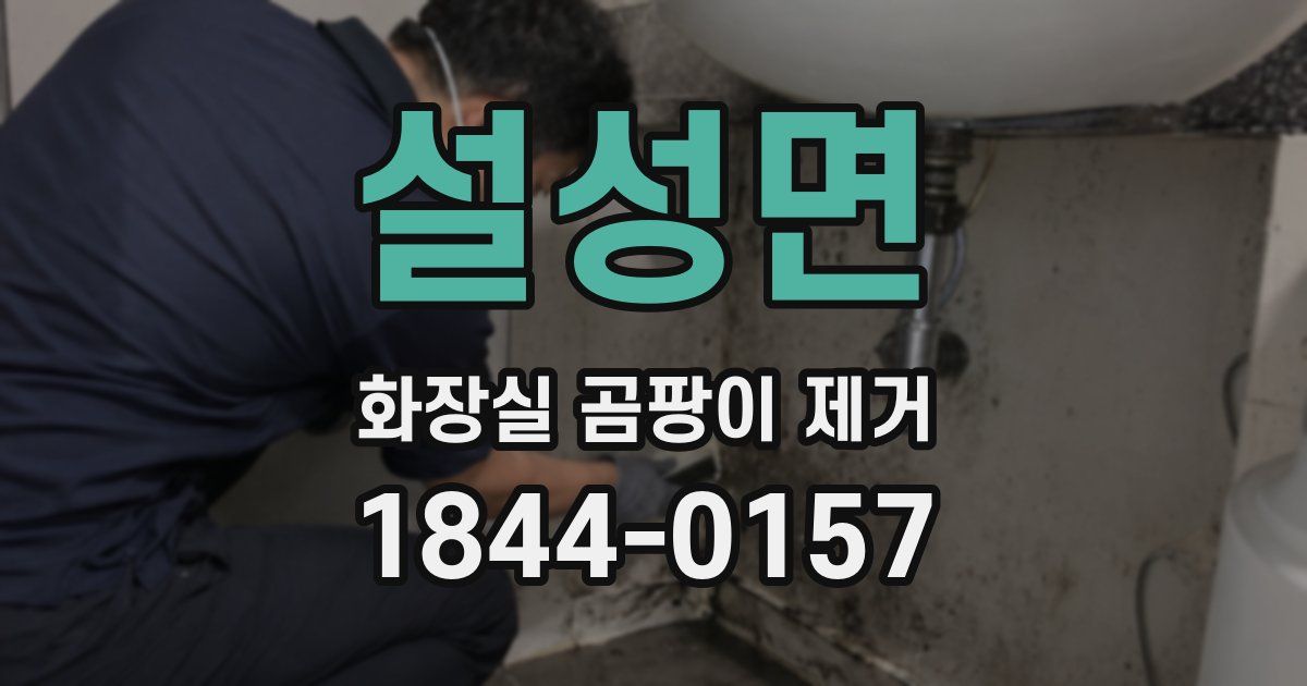 설성면 화장실 곰팡이 제거