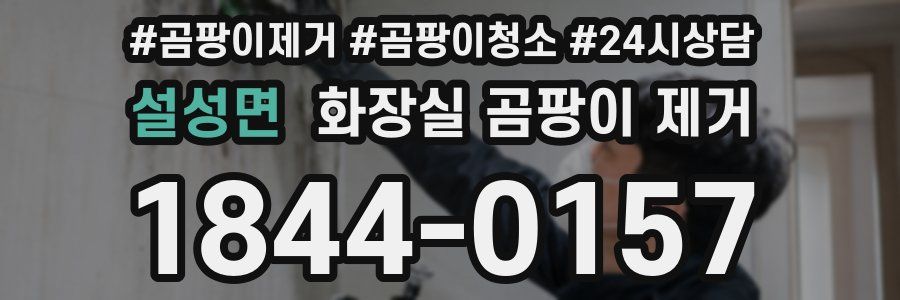설성면 화장실 곰팡이 제거