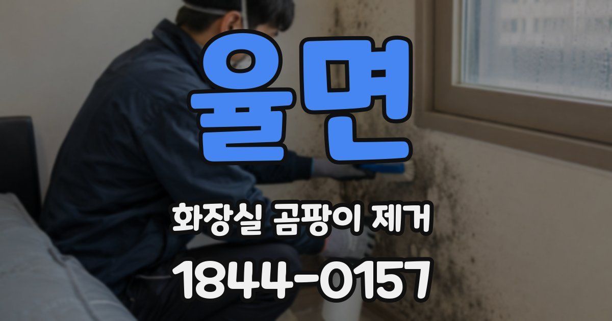 율면 화장실 곰팡이 제거