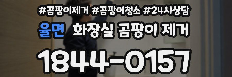 율면 화장실 곰팡이 제거