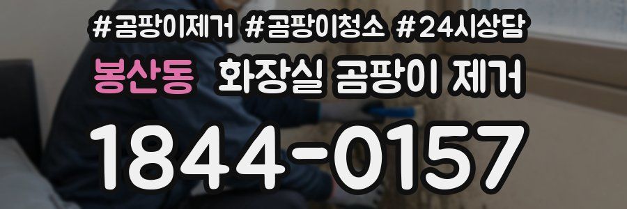 봉산동 화장실 곰팡이 제거