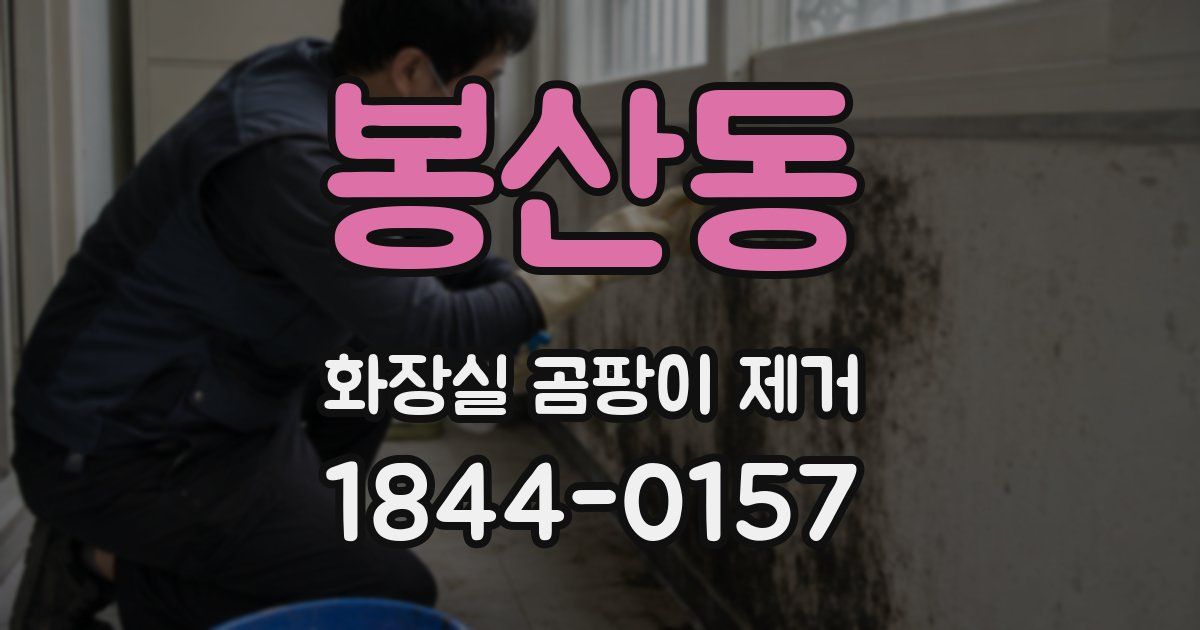 봉산동 화장실 곰팡이 제거