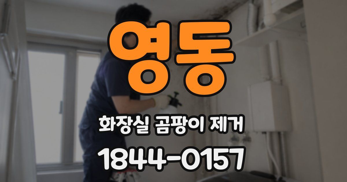 영동 화장실 곰팡이 제거