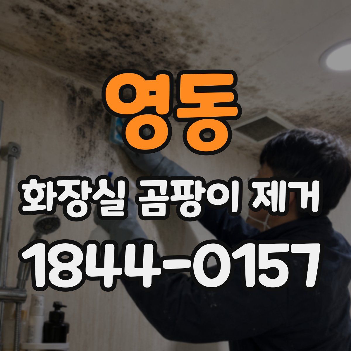 영동 화장실 곰팡이 제거