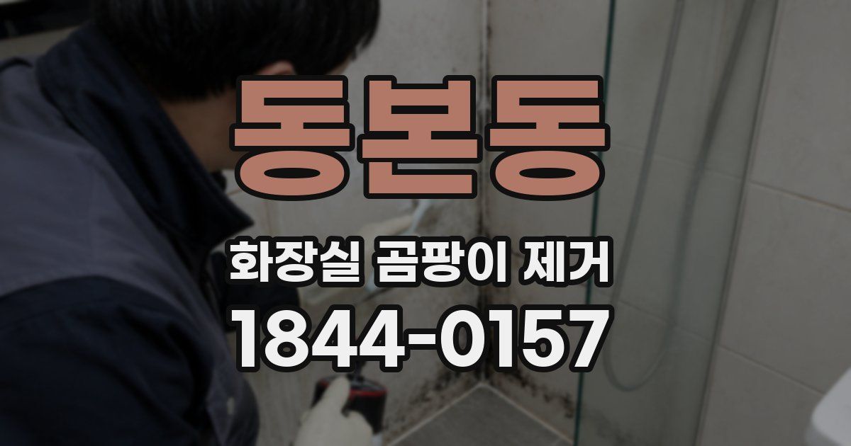 동본동 화장실 곰팡이 제거
