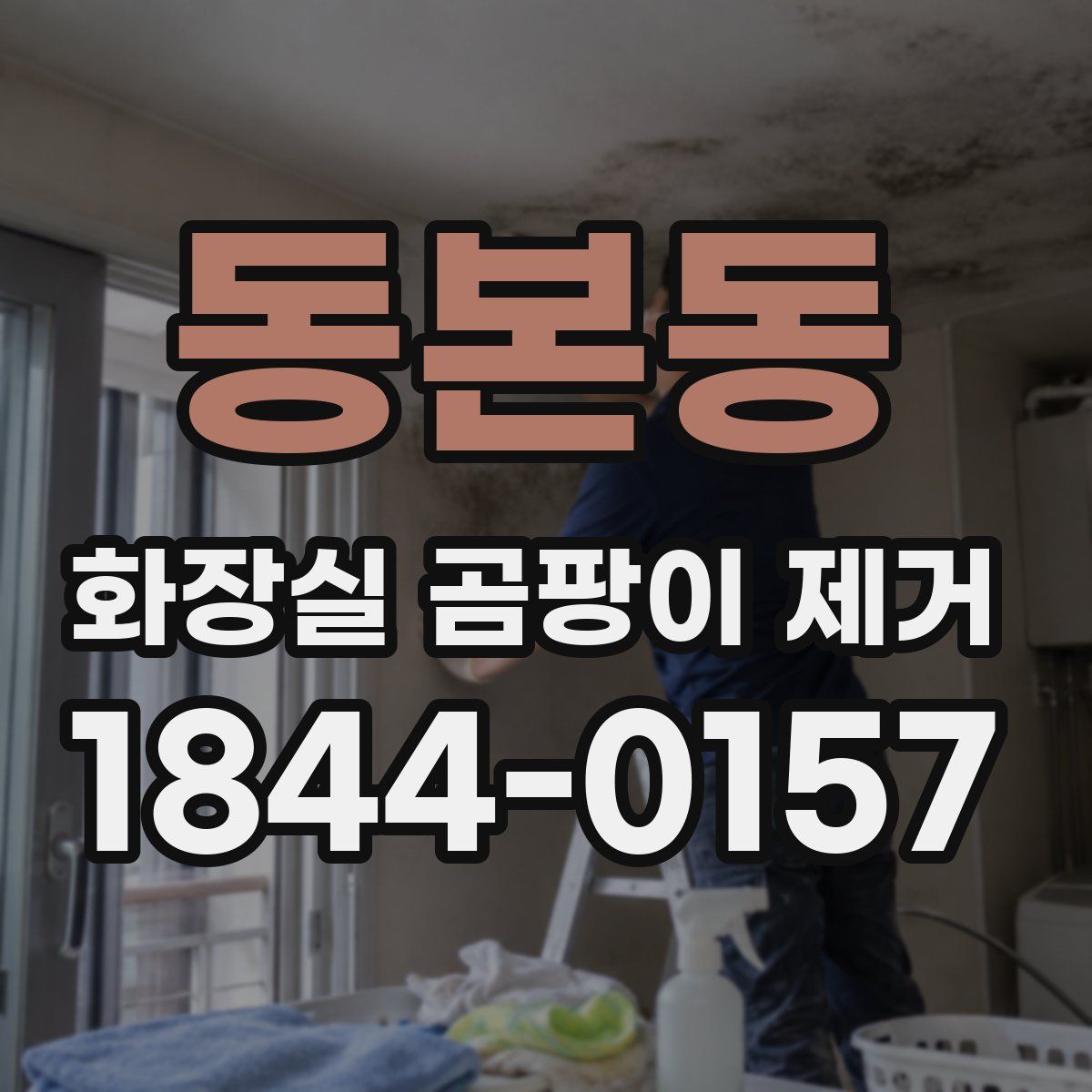 동본동 화장실 곰팡이 제거