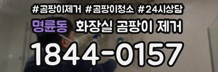 명륜동 화장실 곰팡이 제거