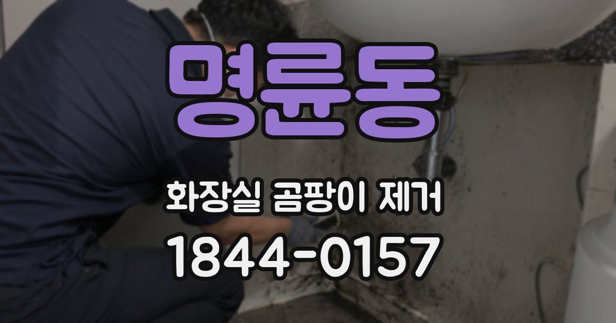 명륜동 화장실 곰팡이 제거