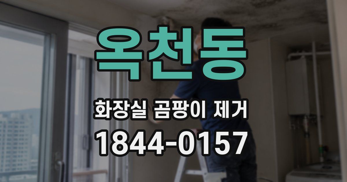 옥천동 화장실 곰팡이 제거
