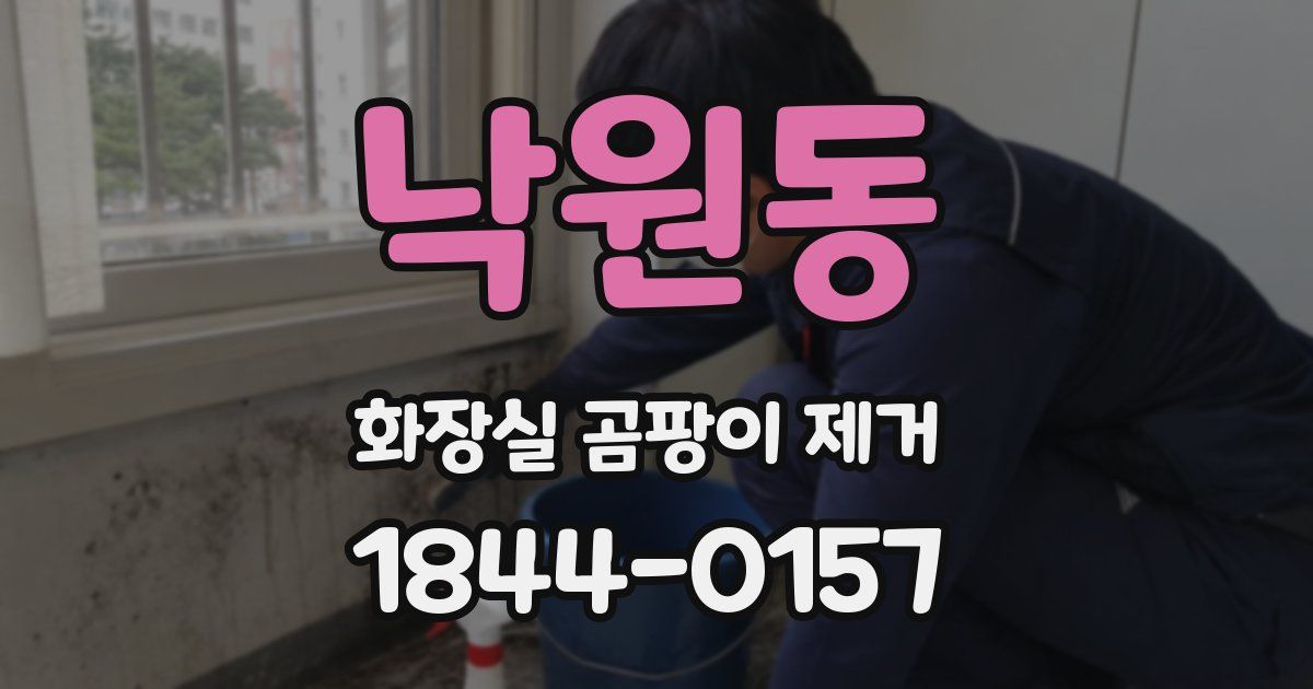 낙원동 화장실 곰팡이 제거