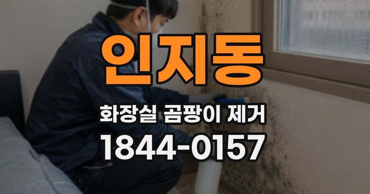 인지동 화장실 곰팡이 제거