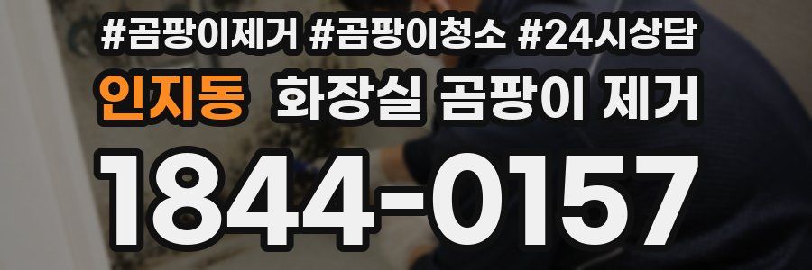 인지동 화장실 곰팡이 제거