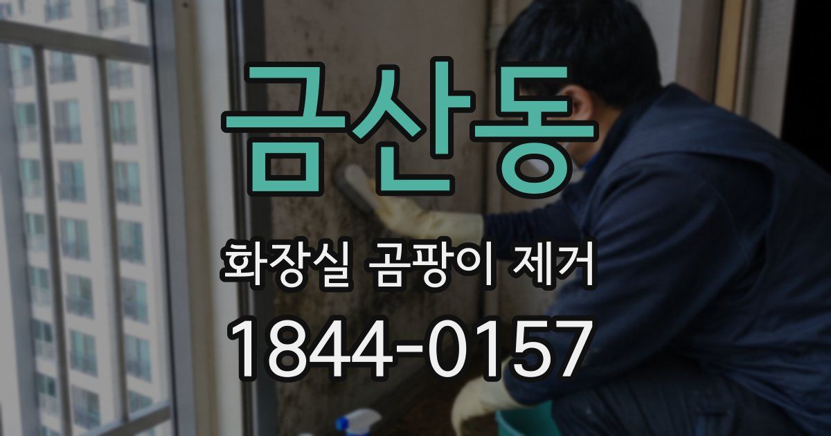 금산동 화장실 곰팡이 제거