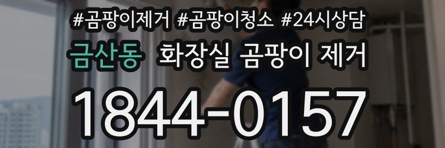 금산동 화장실 곰팡이 제거