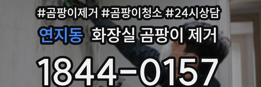 연지동 화장실 곰팡이 제거