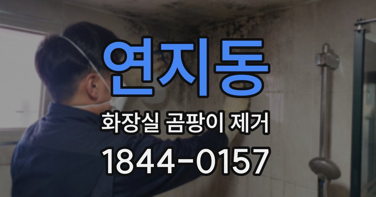 연지동 화장실 곰팡이 제거