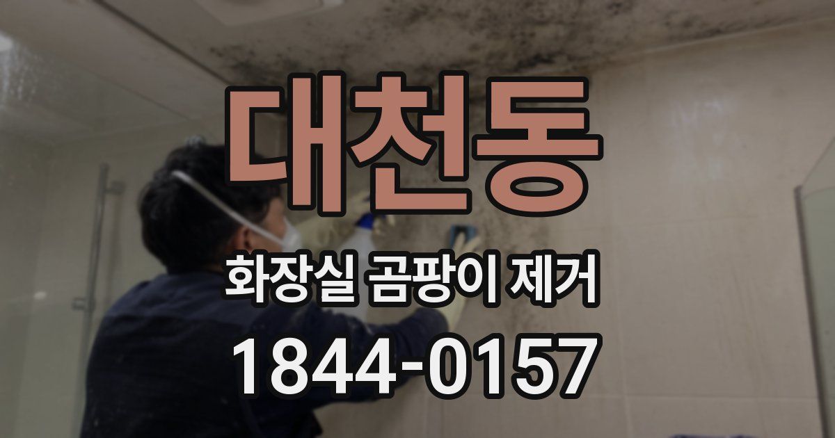 대천동 화장실 곰팡이 제거