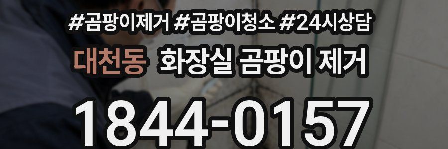 대천동 화장실 곰팡이 제거