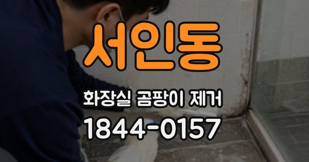 서인동 화장실 곰팡이 제거