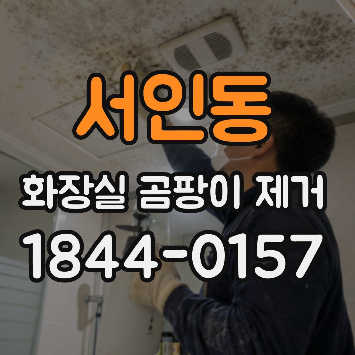 서인동 화장실 곰팡이 제거