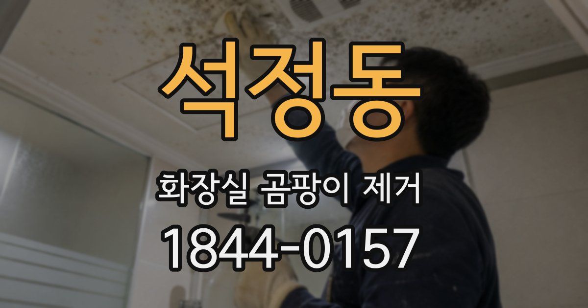 석정동 화장실 곰팡이 제거