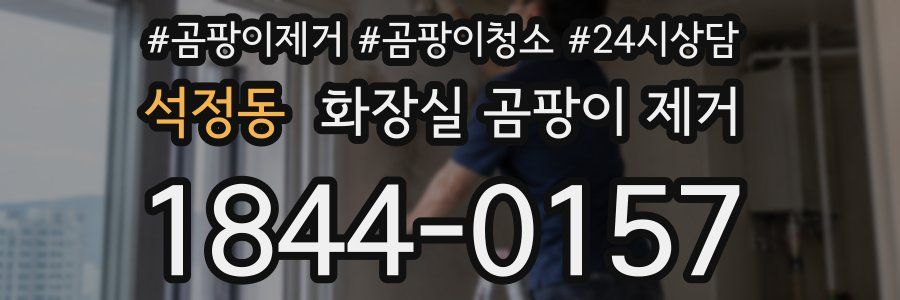 석정동 화장실 곰팡이 제거