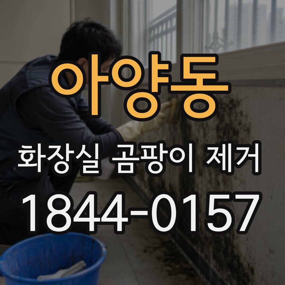 아양동 화장실 곰팡이 제거