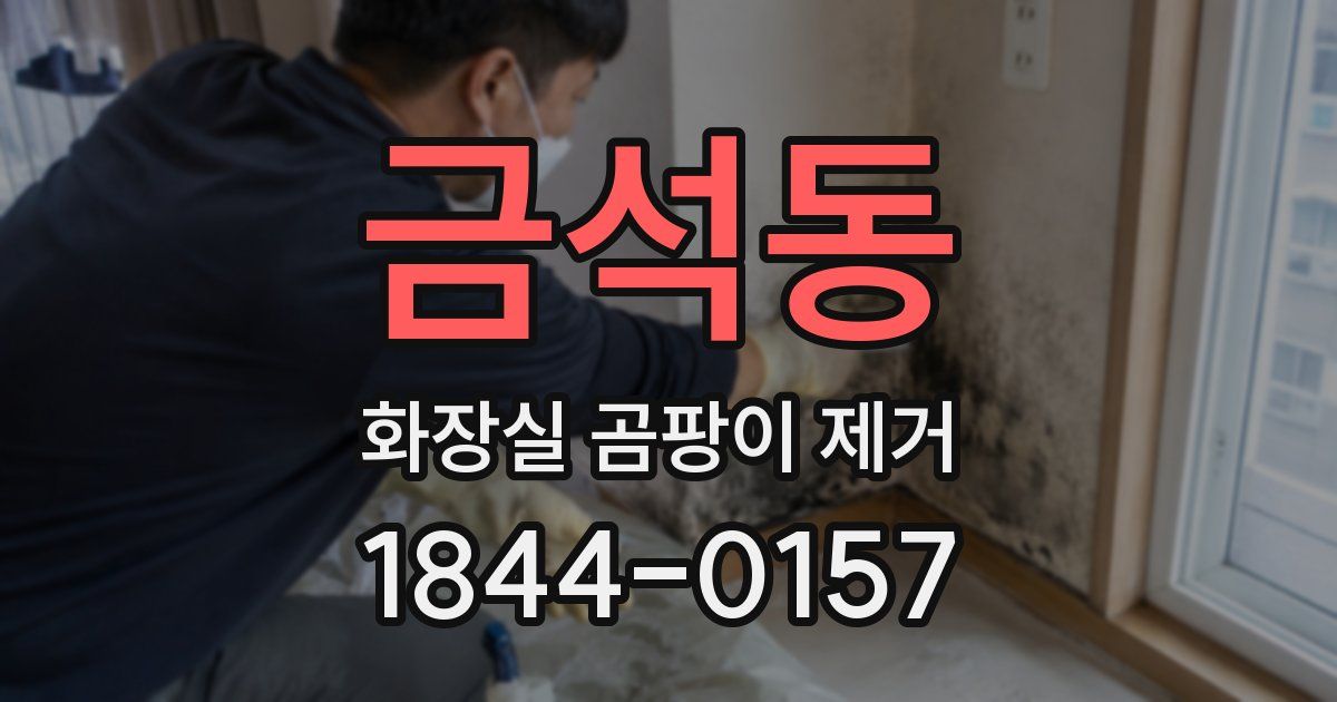 금석동 화장실 곰팡이 제거