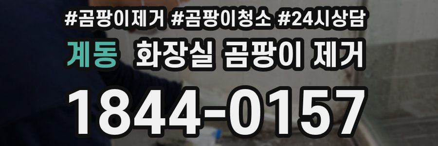 계동 화장실 곰팡이 제거