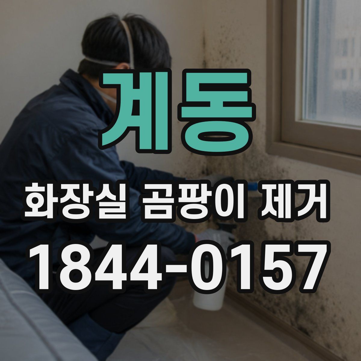 계동 화장실 곰팡이 제거