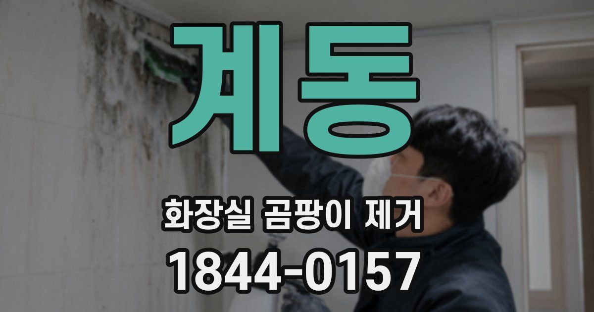 계동 화장실 곰팡이 제거