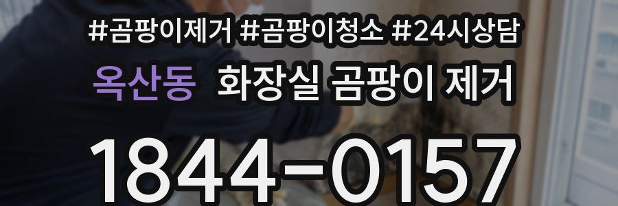 옥산동 화장실 곰팡이 제거