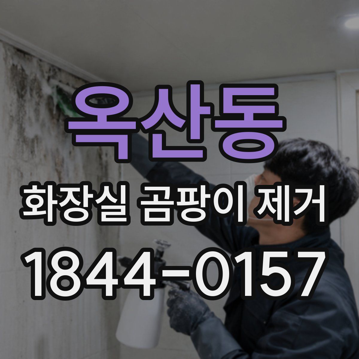 옥산동 화장실 곰팡이 제거