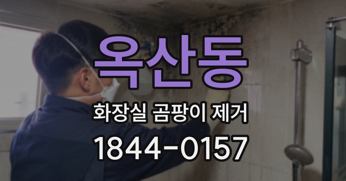 옥산동 화장실 곰팡이 제거