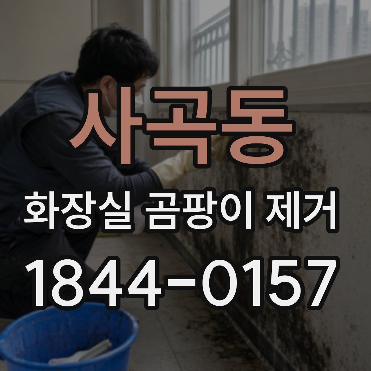 사곡동 화장실 곰팡이 제거 전문 대응이 필요한 오염 범위 살피기