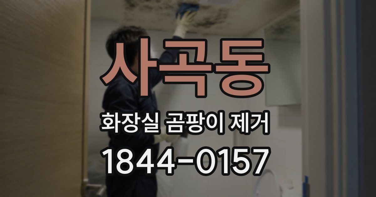사곡동 화장실 곰팡이 제거