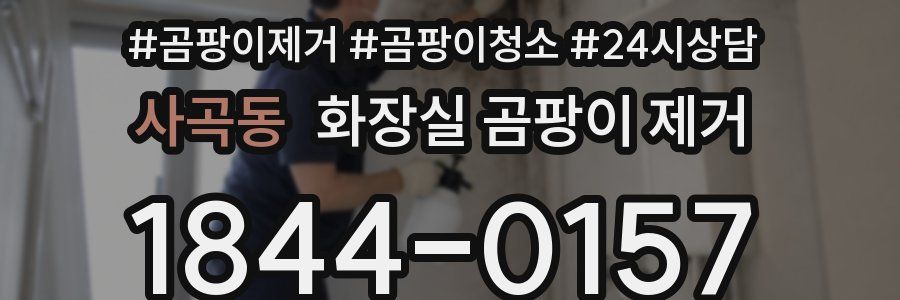 사곡동 화장실 곰팡이 제거