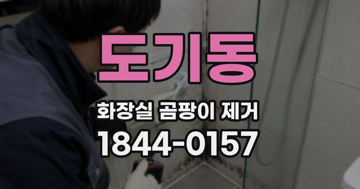 도기동 화장실 곰팡이 제거